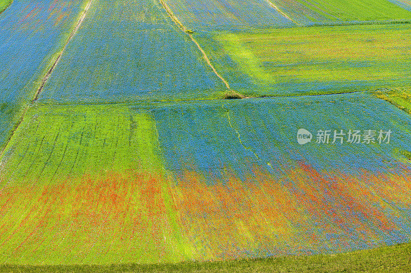 Piano Grande di Castelluccio(意大利)，绿色山丘上的村庄